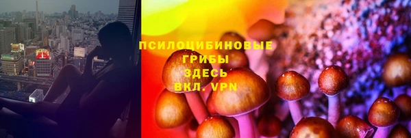 стафф Волоколамск