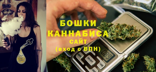 индика Володарск