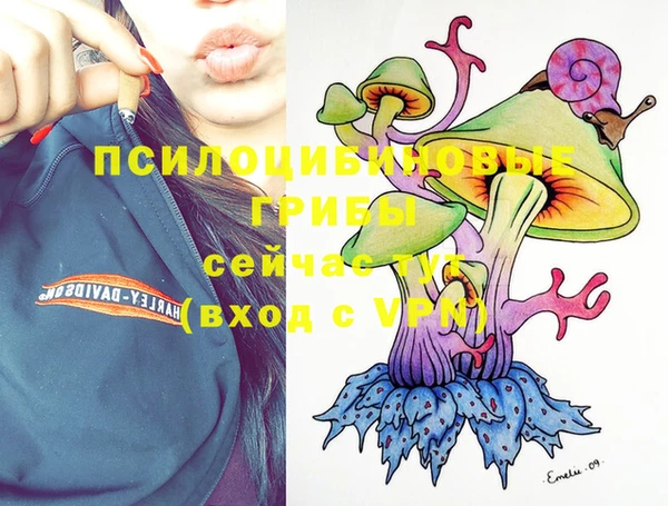 индика Володарск