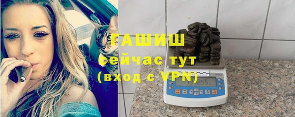индика Володарск