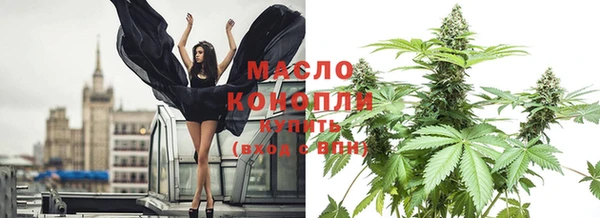 индика Володарск