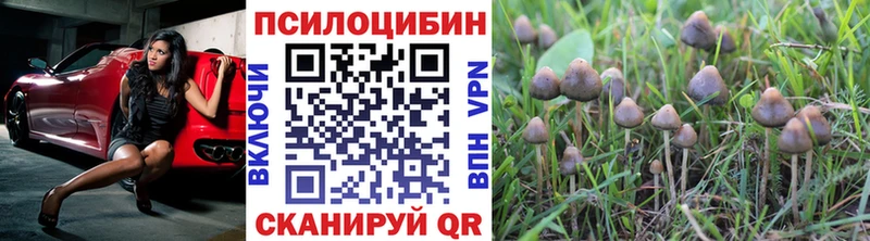 Псилоцибиновые грибы ЛСД  Купить закладки  Котельниково 
